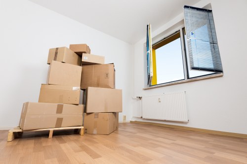 Careful wrapping of fragile household items for a local move